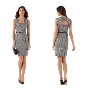 WHBM Gingham Plaid Belted Shift Dress size 4